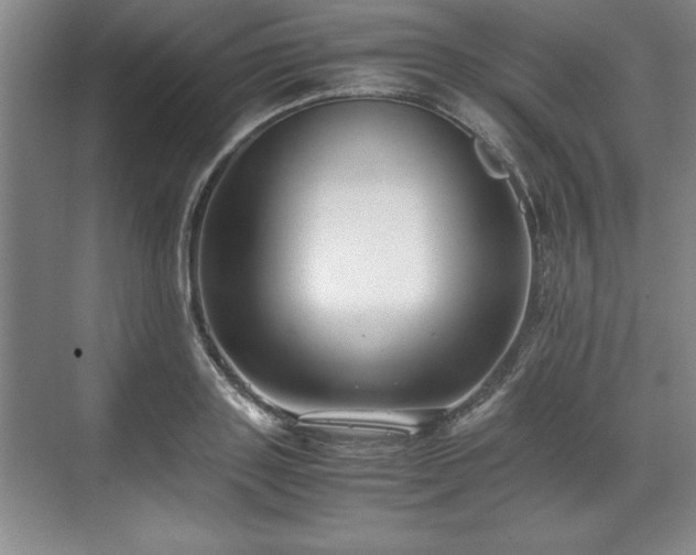 X0000071780843200607071428