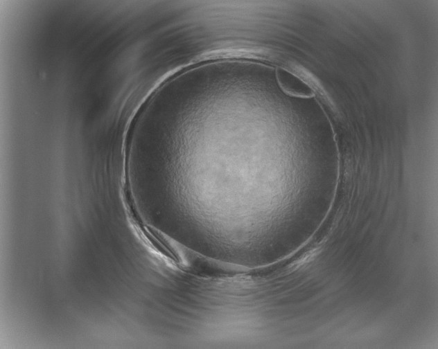 X0000071780844200607071428