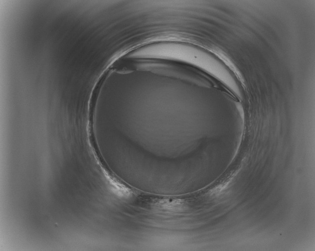 X0000071780845200607071428