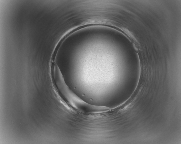 X0000071780846200607071428