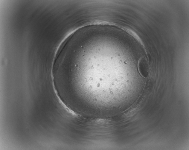 X0000071780847200607071428