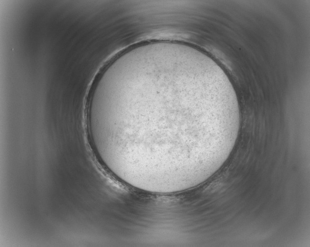 X0000071780848200607071428