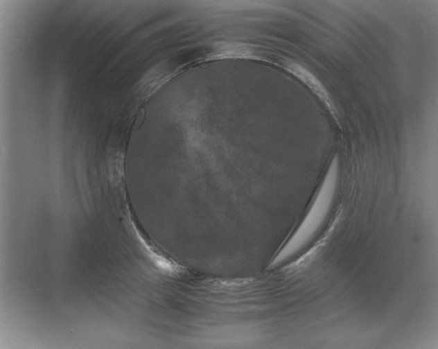 X0000071780849200607071428