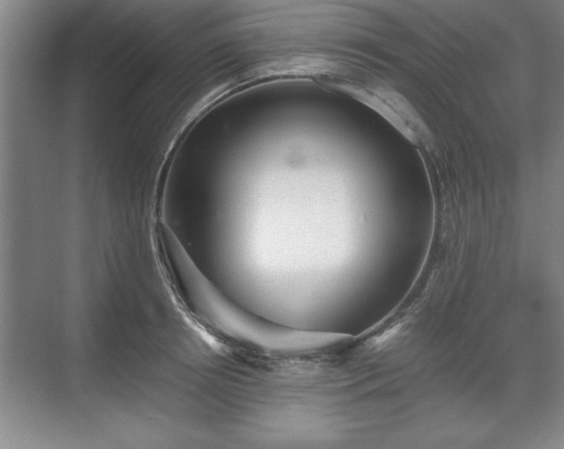 X0000071780850200607071428