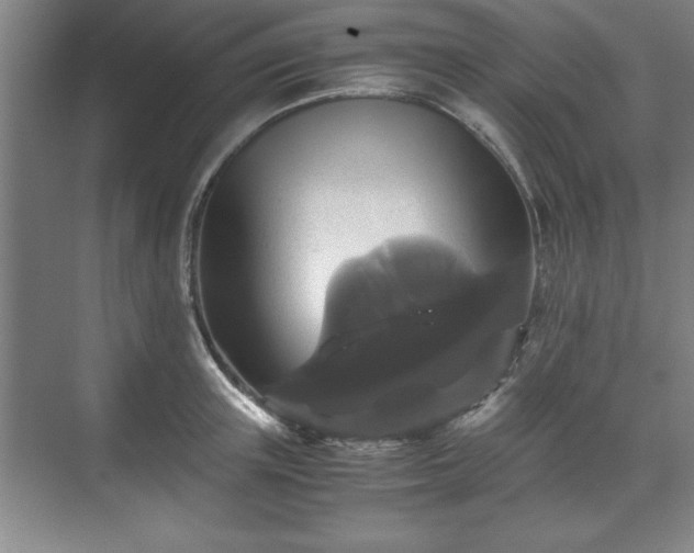 X0000071780851200607071428