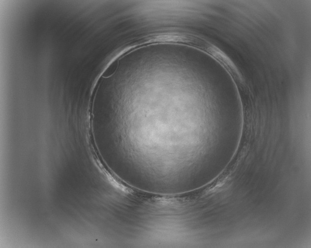 X0000071780852200607071428