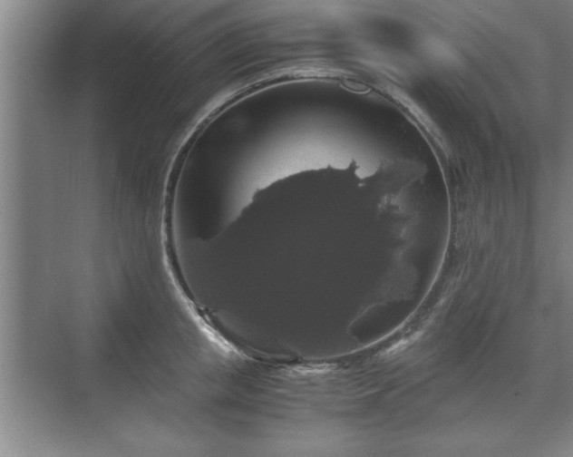 X0000071780853200607071428