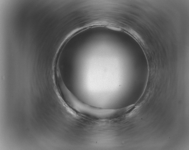 X0000071780854200607071428