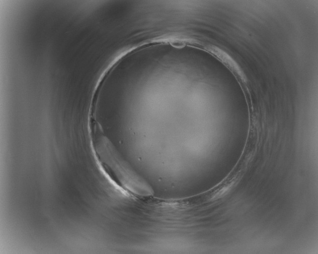 X0000071780855200607071428