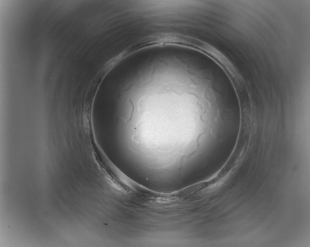 X0000071780857200607071428