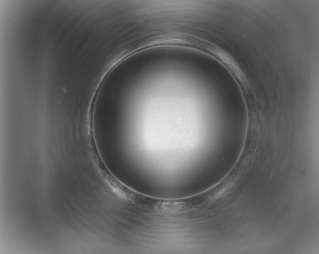 X0000071780858200607071428