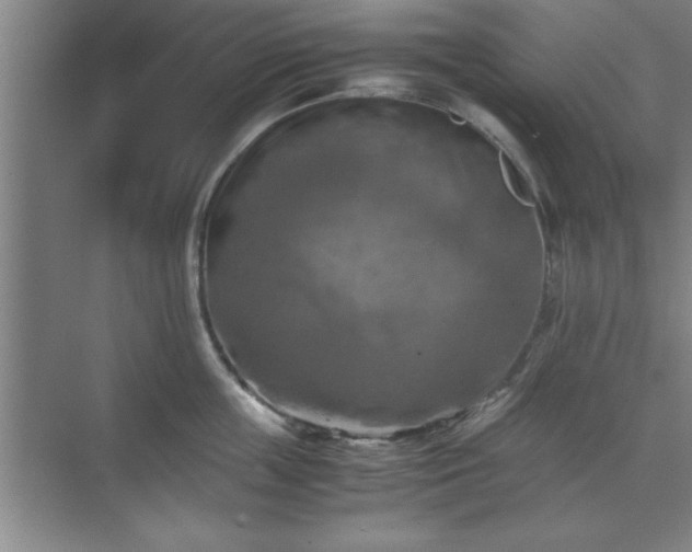 X0000071780859200607071428