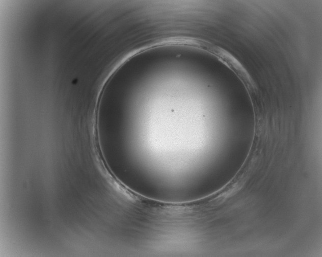 X0000071780860200607071428