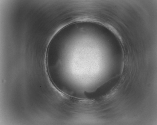 X0000071780863200607071428