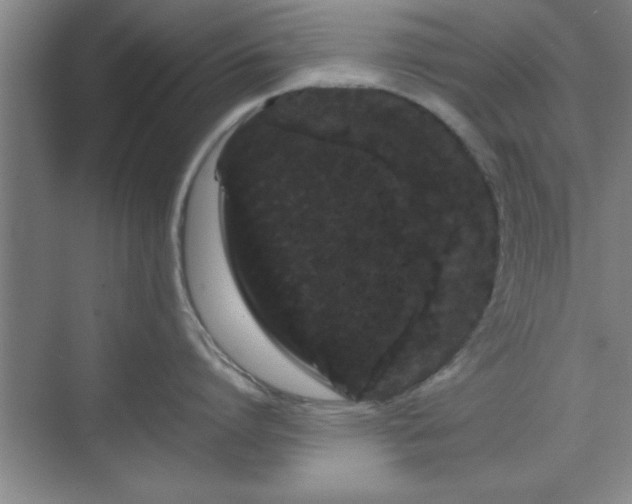 X0000071780864200607071428