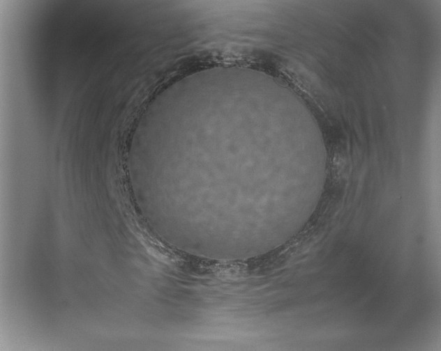 X0000071780865200607071427