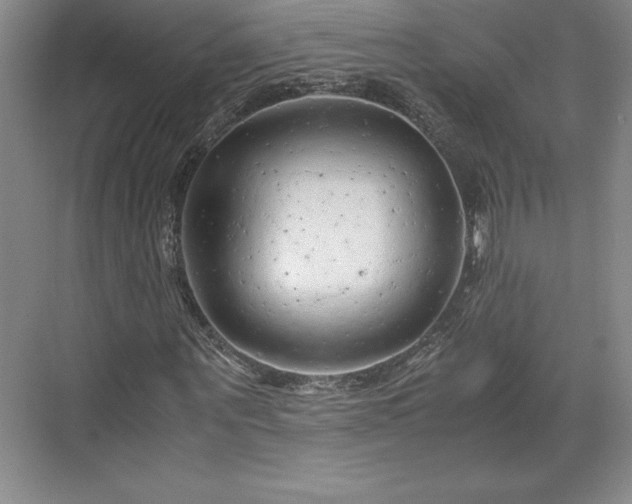 X0000071780867200607071427