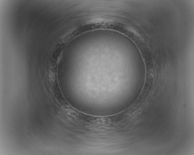 X0000071780869200607071427