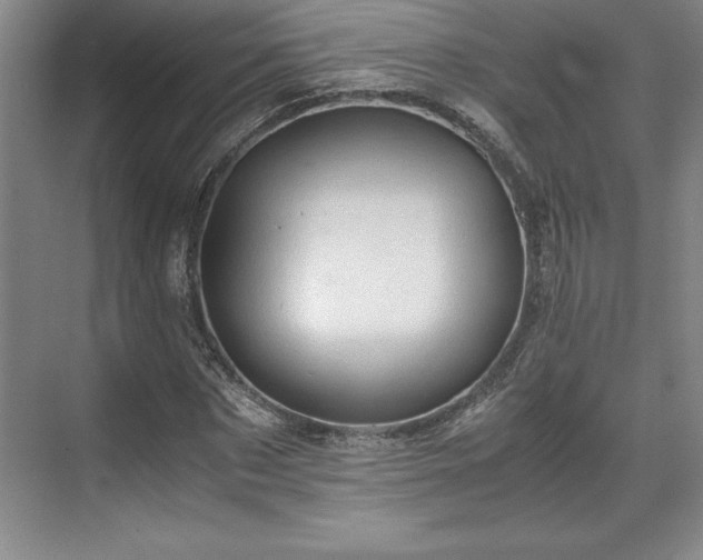 X0000071780873200607071427