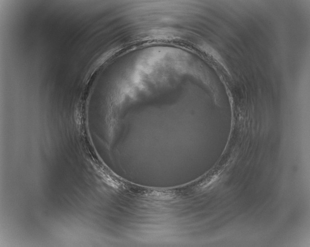 X0000071780874200607071427