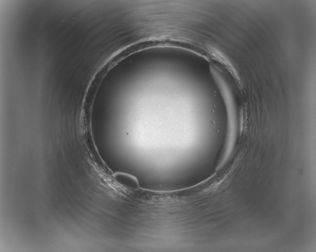 X0000071780876200607071427