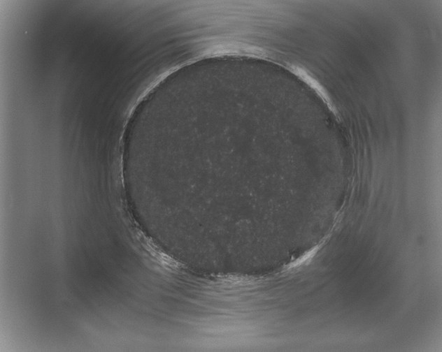 X0000071780877200607071427