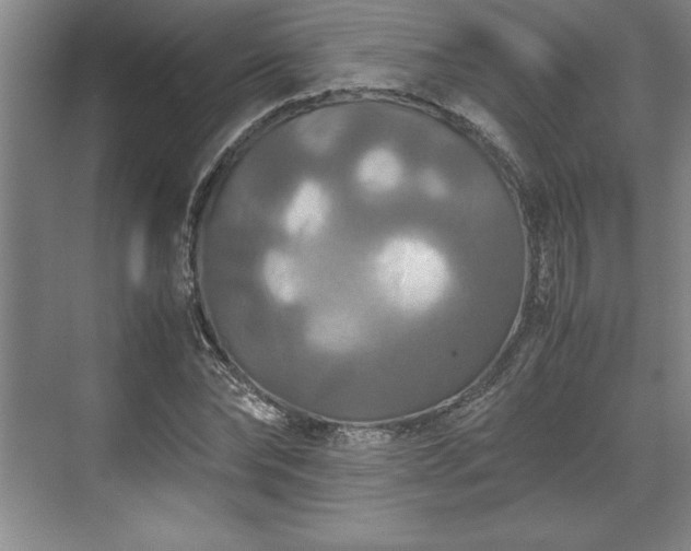 X0000071780878200607071427