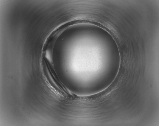 X0000071780880200607071427