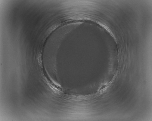 X0000071780881200607071427