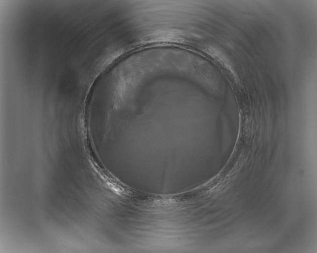 X0000071780882200607071427