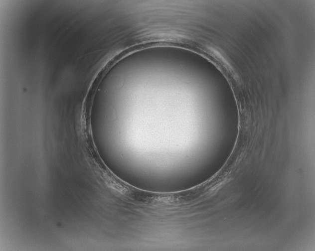 X0000071780883200607071427