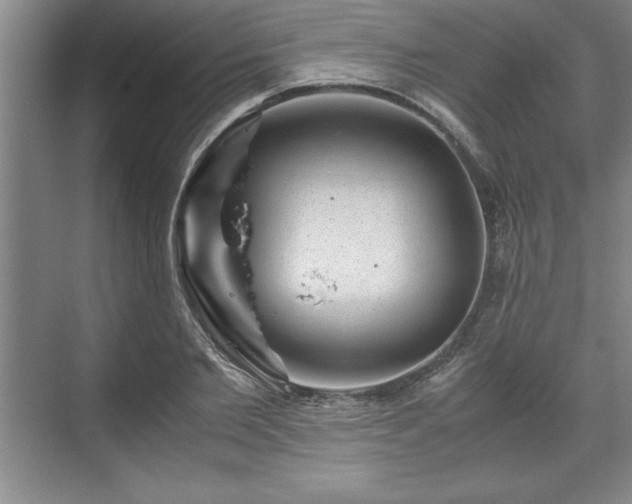 X0000071780885200607071427