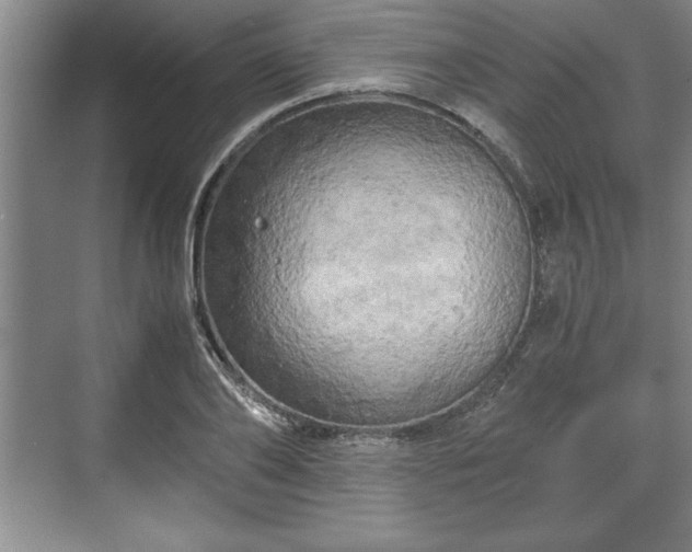 X0000071780886200607071427