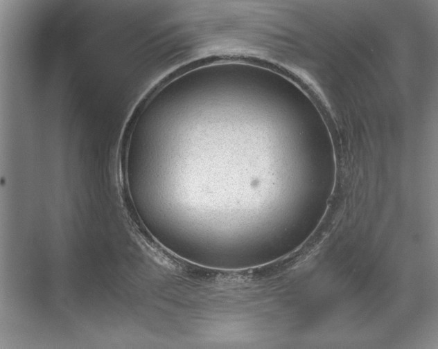 X0000071780887200607071427