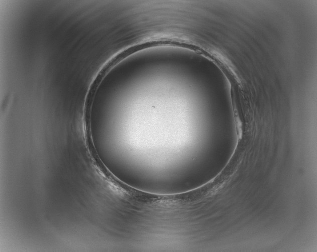 X0000071780888200607071427