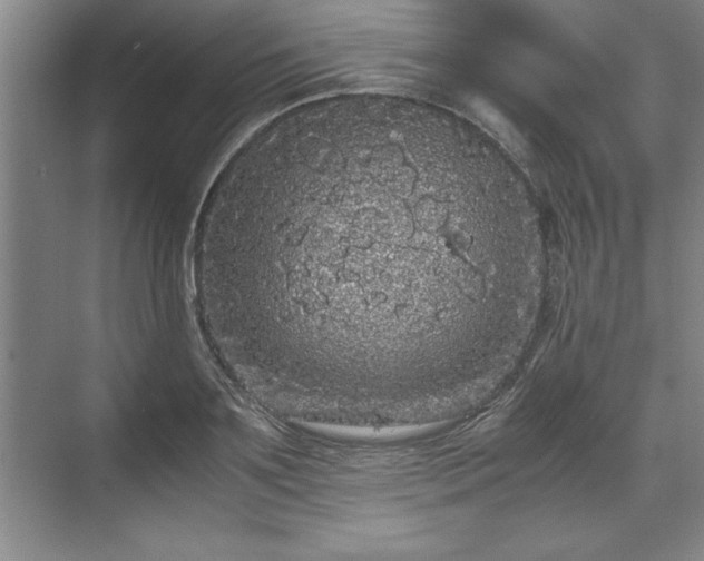 X0000071780891200607071427