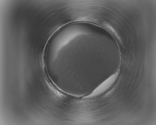 X0000071780892200607071427