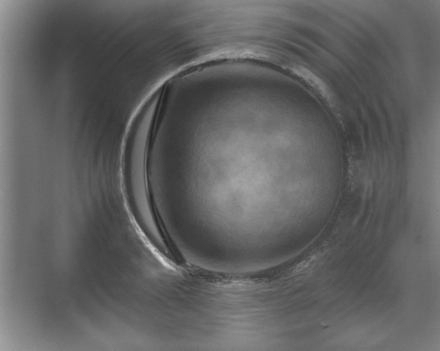 X0000071780894200607071427