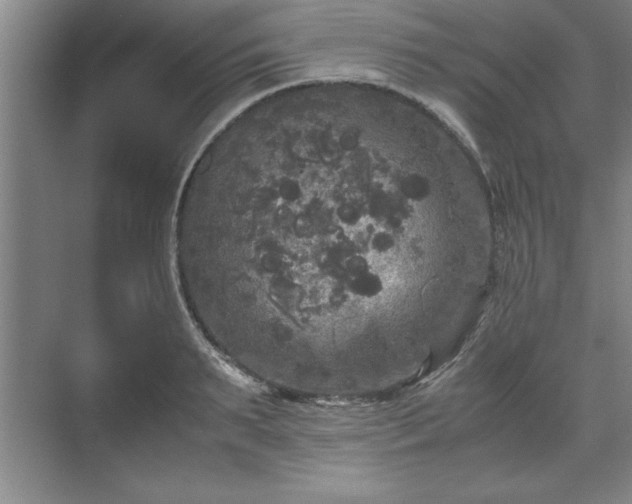 X0000071780895200607071427