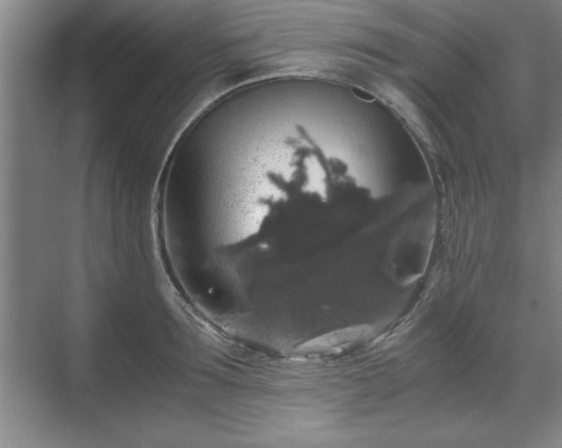 X0000071780899200607071427