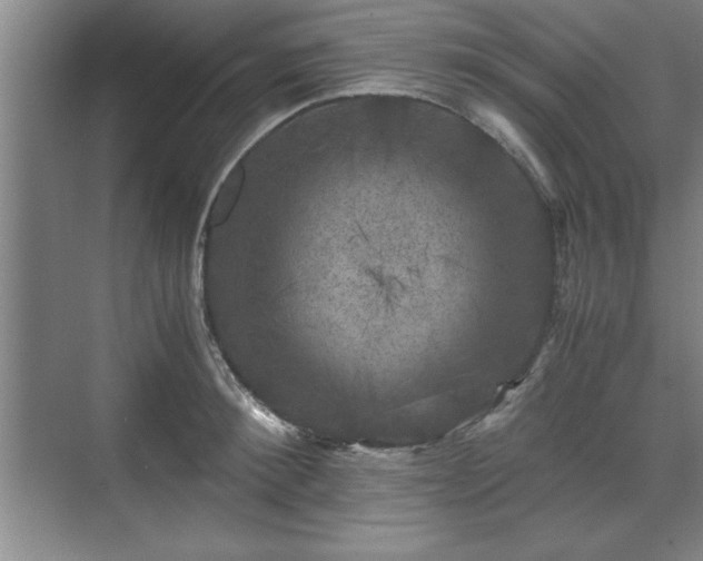 X0000071780900200607071427