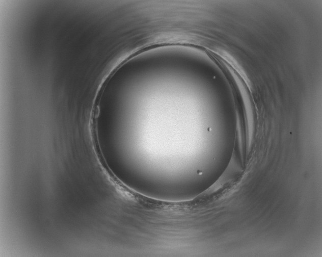 X0000071780901200607071427