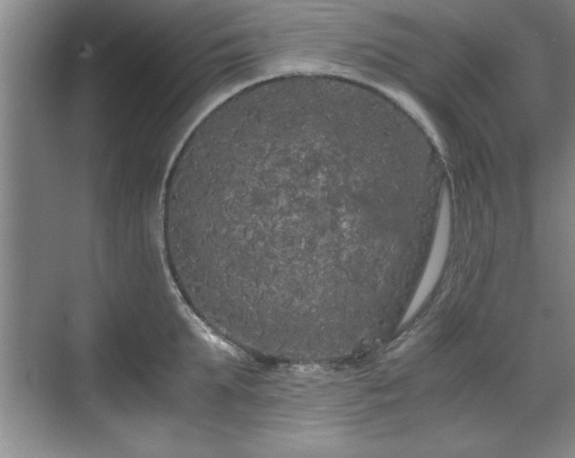 X0000071780903200607071426