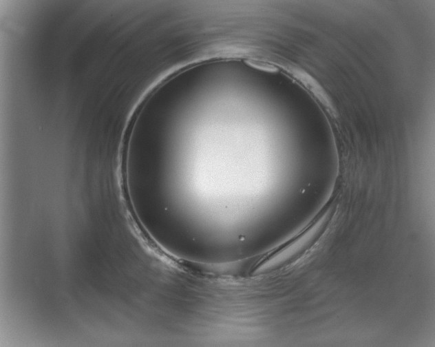 X0000071780904200607071426