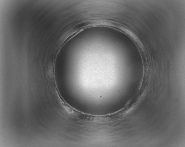 X0000071780905200607071426