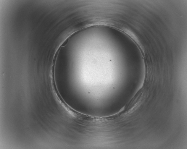 X0000071780906200607071426