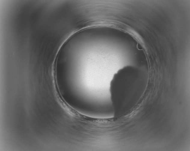 X0000071780907200607071426