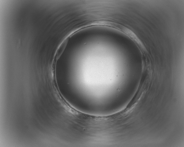 X0000071780908200607071426