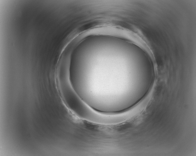 X0000071780909200607071426