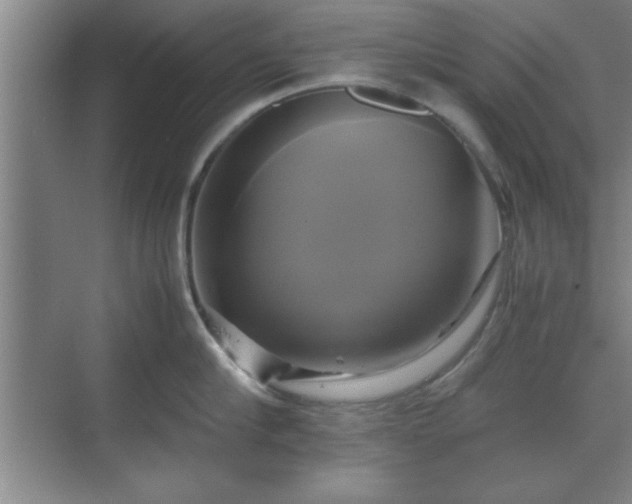 X0000071780910200607071426